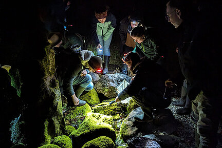 Eine Menschengruppe beobachtet etwas am Boden draußen im Dunkeln. 